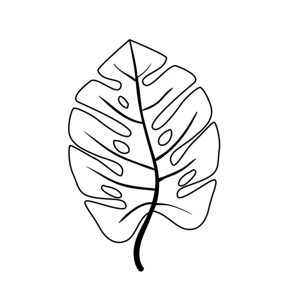 Feuille nature tropical ligne style icône — Image vectorielle