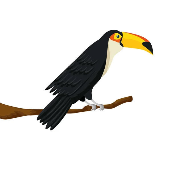 Toucan animal exotic in branch isolated icon — Stock Vector