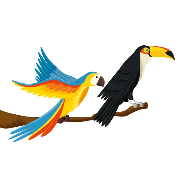 Parrot with toucan on branch isolated icon — Stock Vector