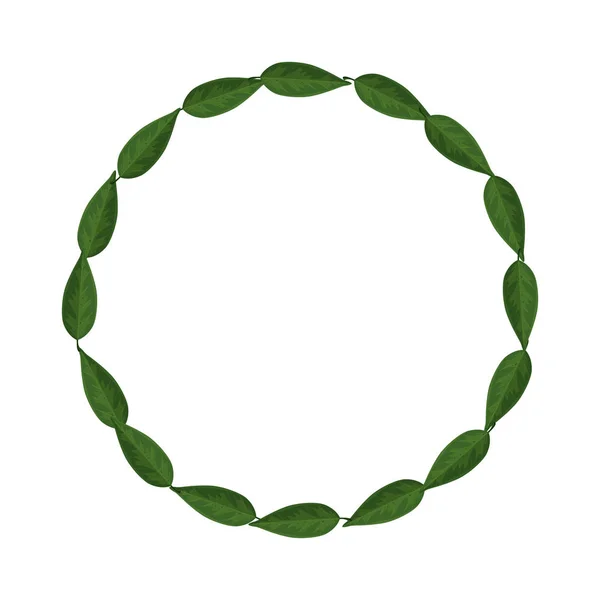 Rahmen Kreis der Blätter Natur isoliert Symbol — Stockvektor