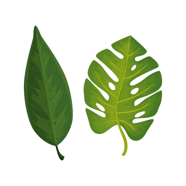 葉の自然熱帯絶縁体のアイコン — ストックベクタ
