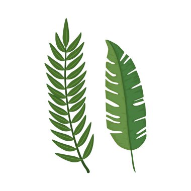 Yapraklar doğa tropikal izole ikon