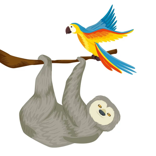 Ours paresseux pendaison de branche avec perroquet — Image vectorielle