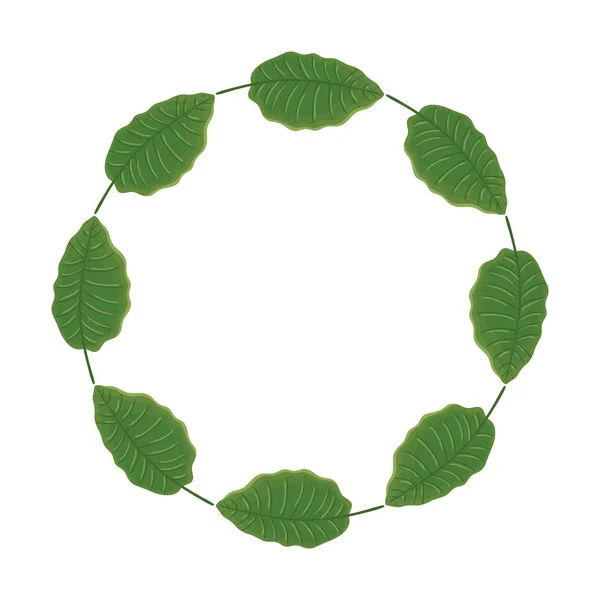 Рамка круглая из листьев природы изолированная икона — стоковый вектор