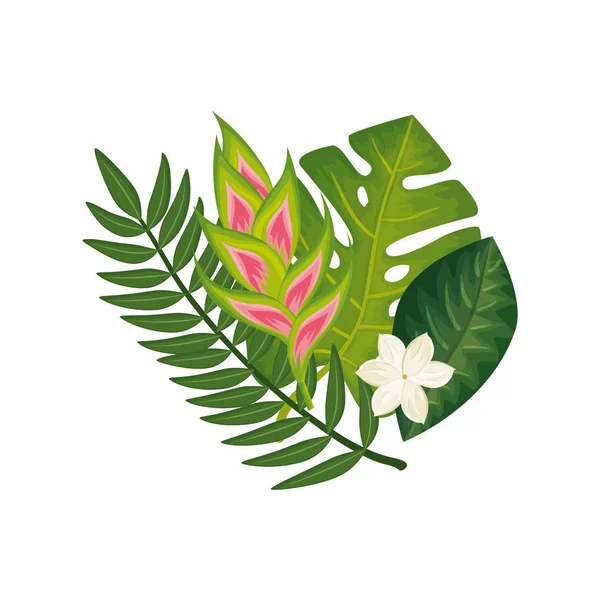 葉のアイコンが孤立した花のヘリコニア — ストックベクタ