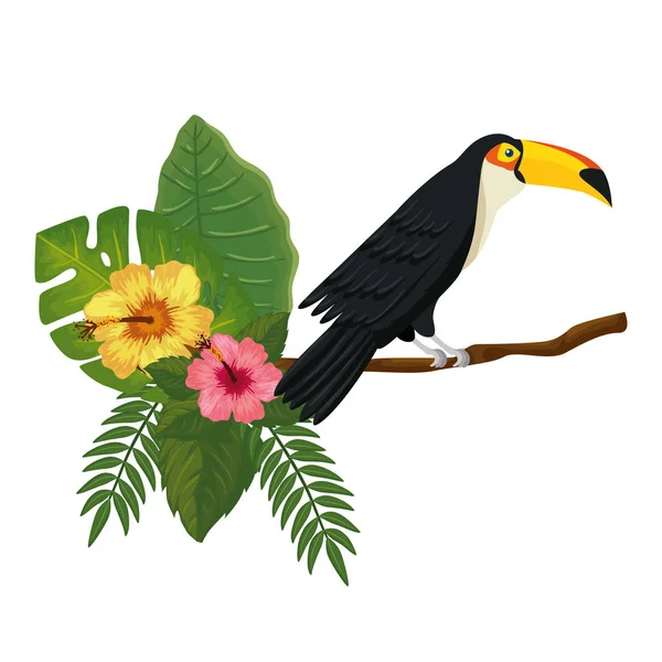 Toucan ágon levelekkel és virágokkal — Stock Vector