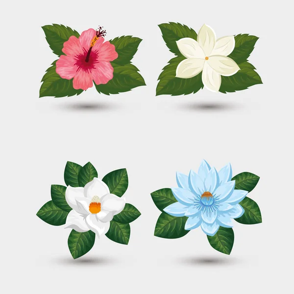 Yaprak ikonlu çiçek seti — Stok Vektör