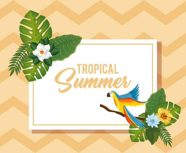 Cartel de verano tropical con loro y flores — Archivo Imágenes Vectoriales