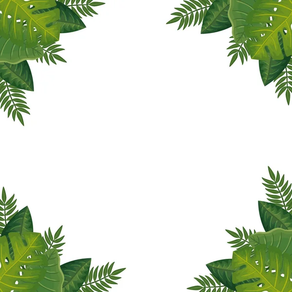Marco de hojas naturaleza aislado icono — Archivo Imágenes Vectoriales