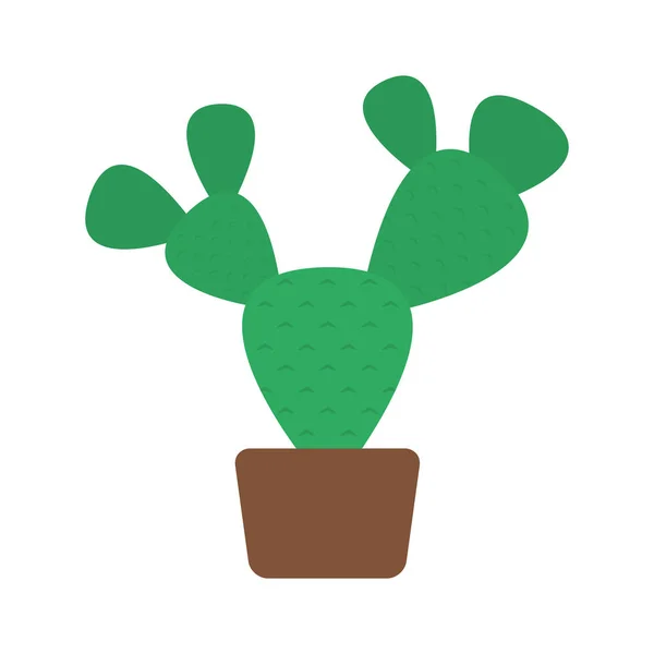 Cactus mexicain plante icône isolée — Image vectorielle