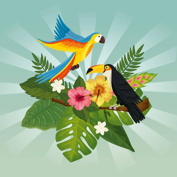 Papuga z tukanem i przyrodą liści — Wektor stockowy