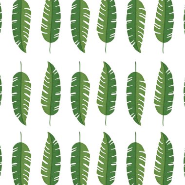 Yaprakların arkaplanı tropikal doğal