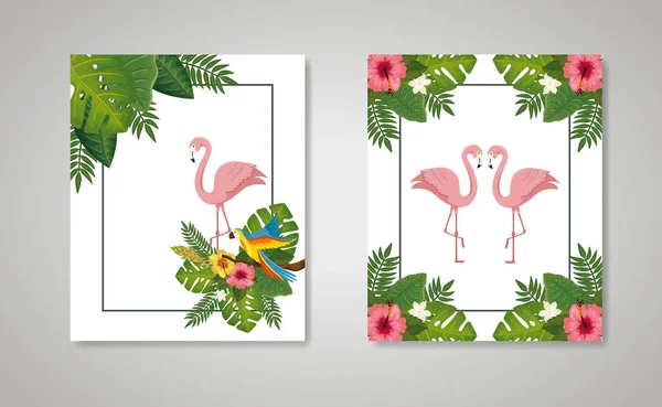 Scener av flamingos rosa djur med blad natur — Stock vektor