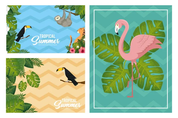 Scener av tropiska sommaren affisch med djur exotiska — Stock vektor