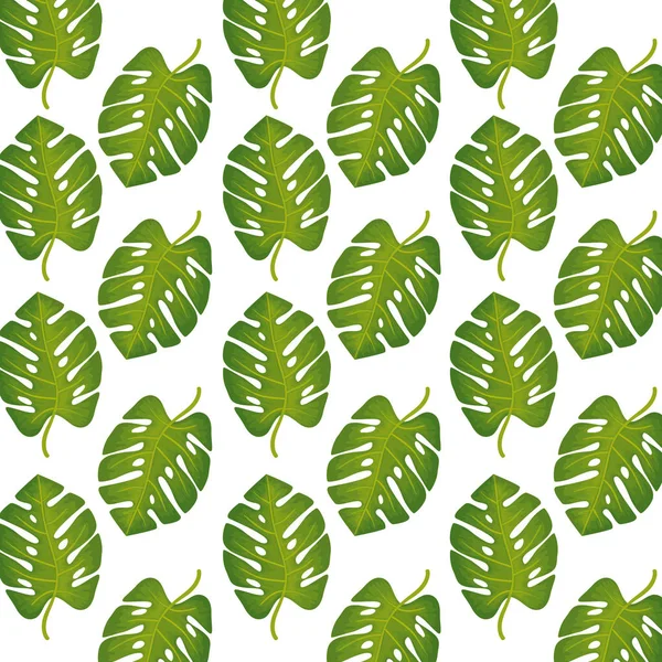 Hintergrund der Blätter tropischen natürlichen — Stockvektor