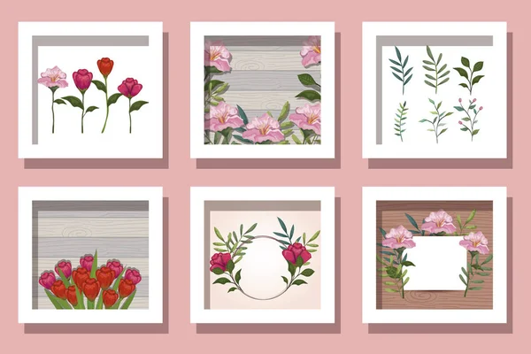 Paquete lindo flores y decoración — Archivo Imágenes Vectoriales