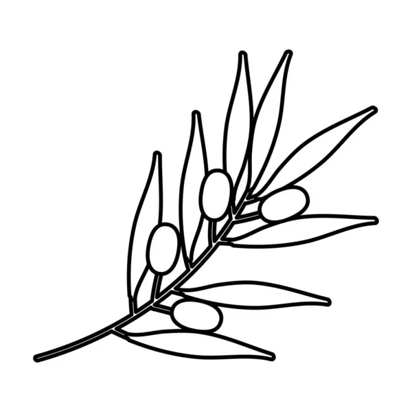 Branche d'olivier ligne nature style icône — Image vectorielle