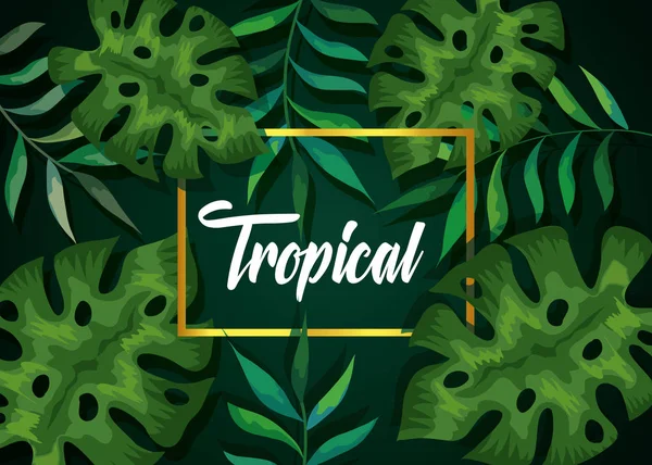 Fundo de folhas tropicais naturais — Vetor de Stock