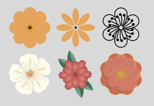 Ensemble de fleurs décoration nature — Image vectorielle