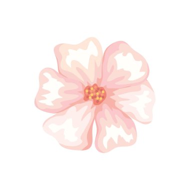 Şirin çiçek doğal izole edilmiş ikon