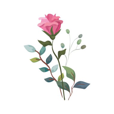 Dalları ve yaprakları olan sevimli bir çiçek.