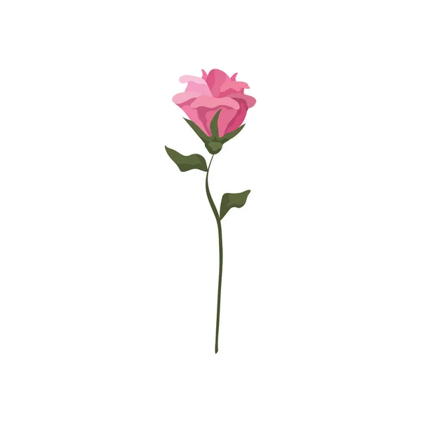 Cute flower with branch and leafs isolated icon — 스톡 벡터