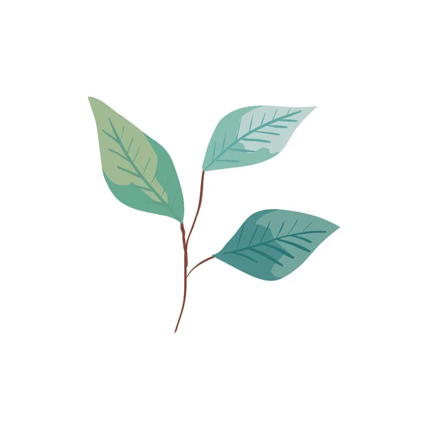 Rama con hojas ecología naturaleza aislado icono — Vector de stock