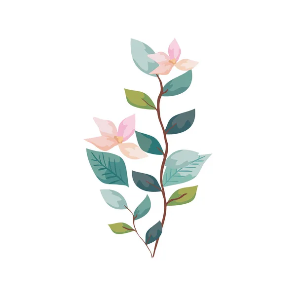 Fleurs mignonnes avec des branches et des feuilles icône isolée — Image vectorielle