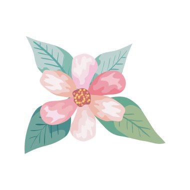 Yaprakları doğal izole edilmiş sevimli bir çiçek.