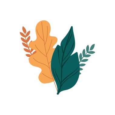 Yapraklar doğa tropikal izole ikon