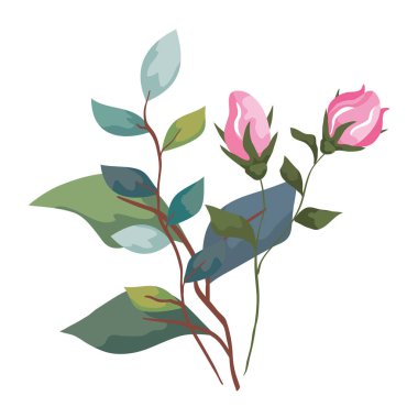 Dalları ve yaprakları olan sevimli çiçekler izole edilmiş ikon