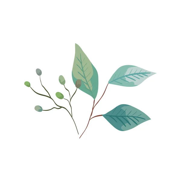 Ветви с листьями экологии изолированной иконы природы — стоковый вектор