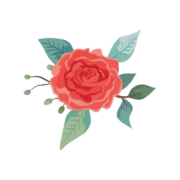 Cute rose with leafs natural isolated icon — 스톡 벡터