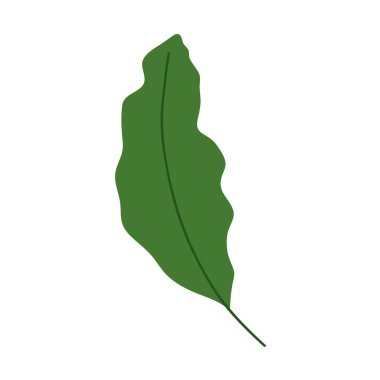 Yaprak doğa tropikal izole ikon