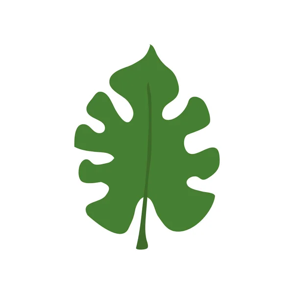 Levél természet trópusi elszigetelt ikon — Stock Vector