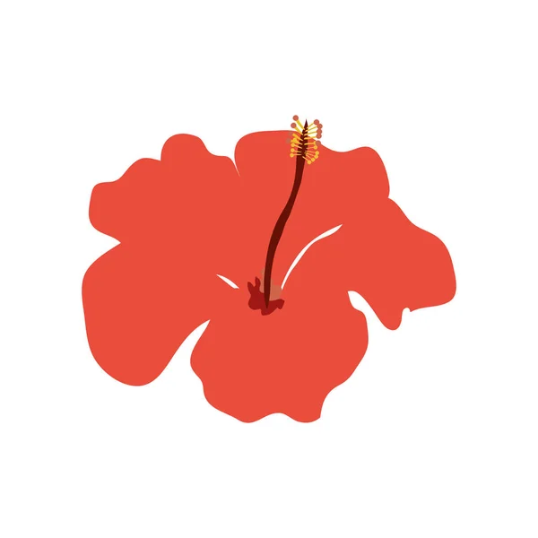 Flower natural of red color isolated icon — ストックベクタ