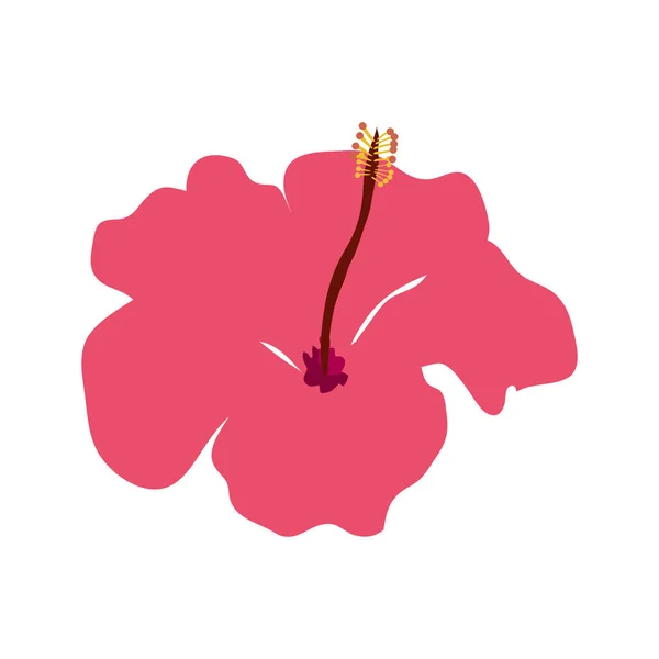 Flower natural of pink color isolated icon — ストックベクタ