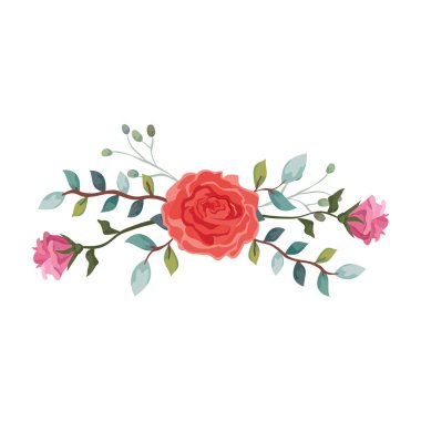 Dalları ve yaprakları olan sevimli bir gül.