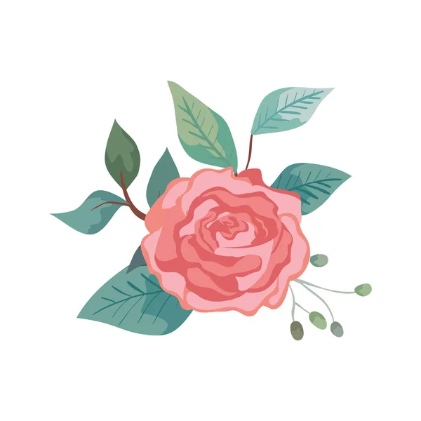 Cute rose with leafs natural isolated icon — 스톡 벡터