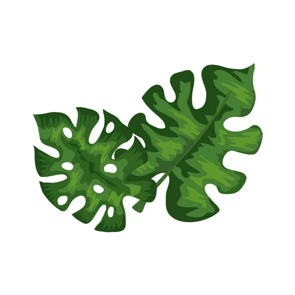 Feuilles nature tropical isolé icône — Image vectorielle