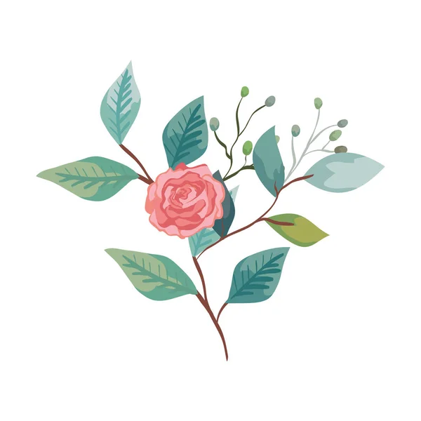 Милая роза с ветвями и листьями натуральные — стоковый вектор