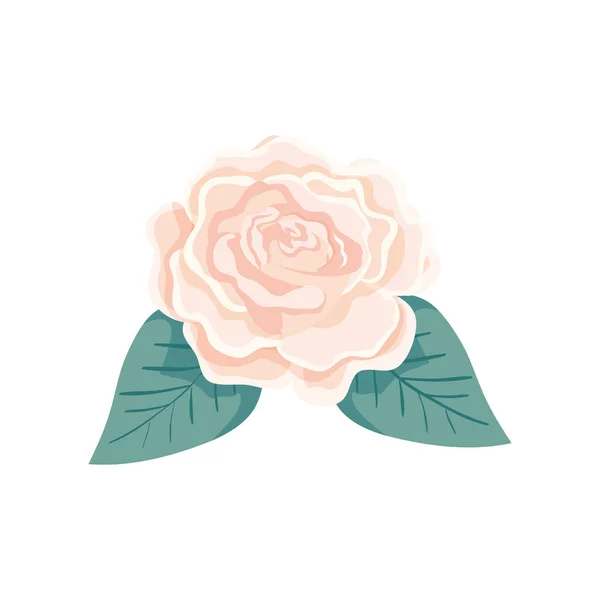 Cute rose with leafs natural isolated icon — 스톡 벡터