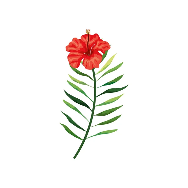 Flor de color rojo con rama y hojas — Vector de stock