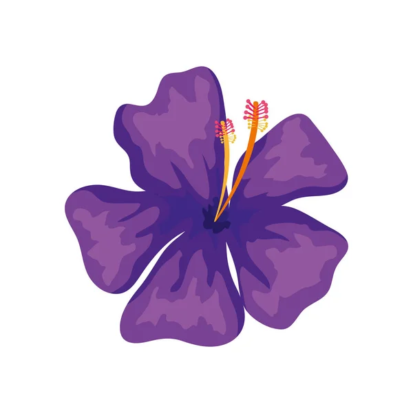 可愛い花天然紫色孤立アイコン — ストックベクタ