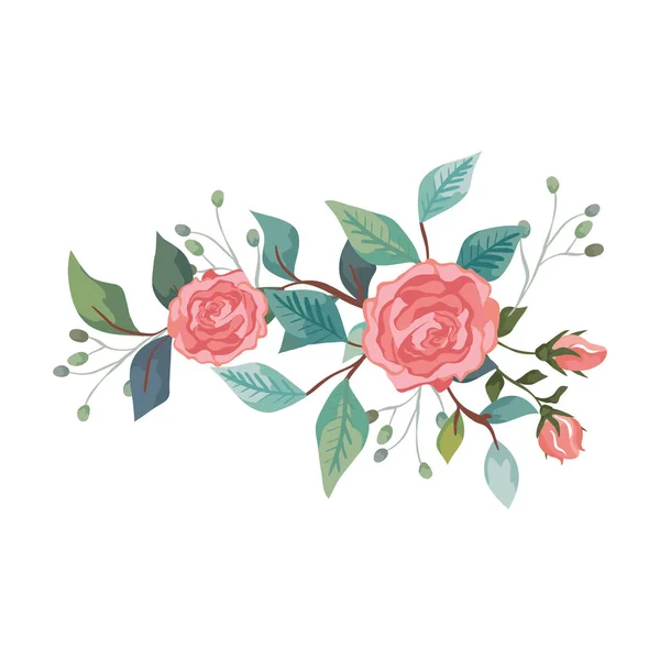 Cute roses with branches and leafs isolated icon — Stock Vector