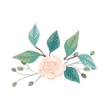 Dalları ve yaprakları olan sevimli bir gül.