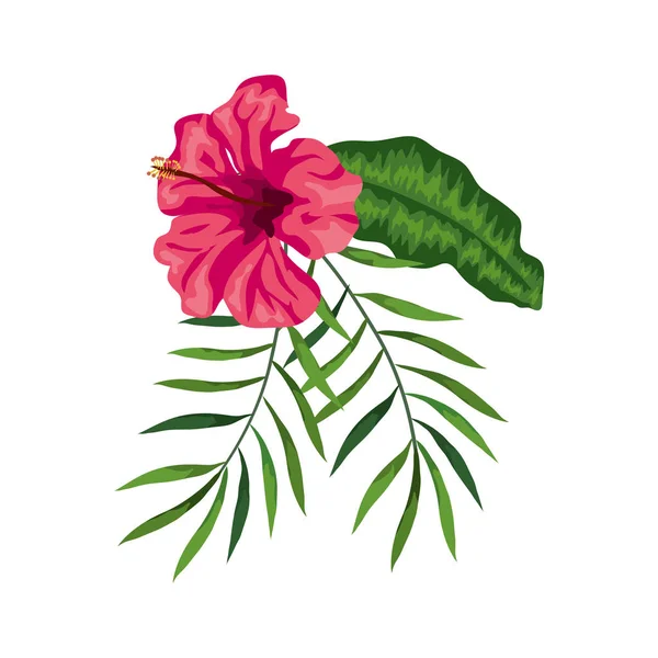 Flor de color rosa con ramas y hojas — Vector de stock