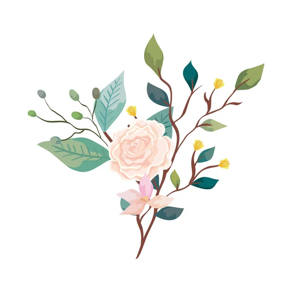Aranyos rózsa virág és levelek elszigetelt ikon — Stock Vector