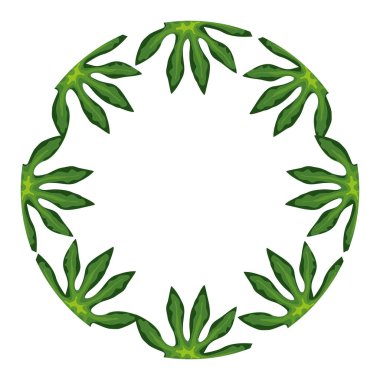 Yaprakların çerçeve dairesi tropikal izole simge