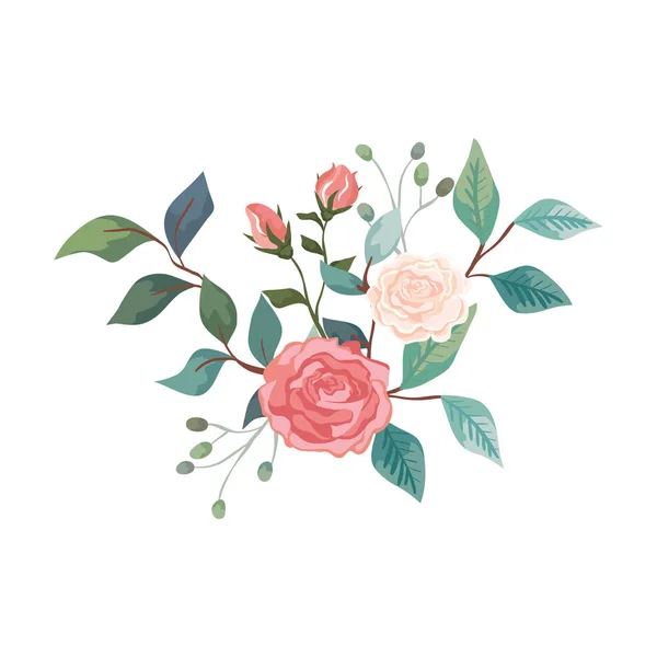 Cute roses with branches and leafs isolated icon — Stock Vector